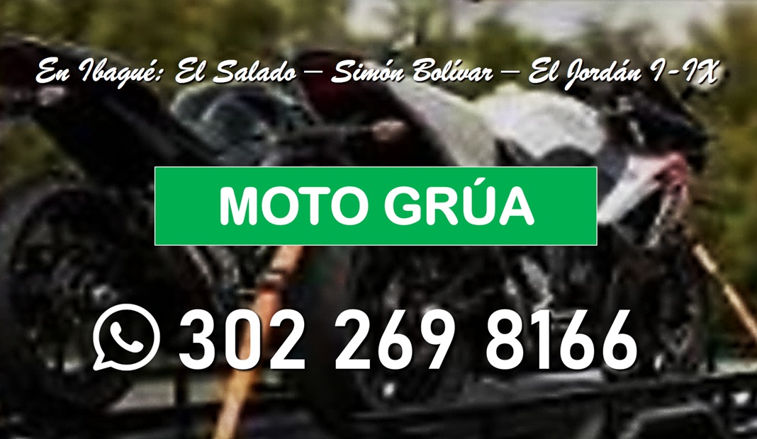 MOTO GRUA 4 . jpg
